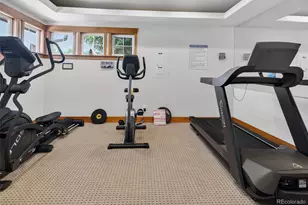 4825 Hahns Peak Dr, Loveland, CO 80538 - Photo 38