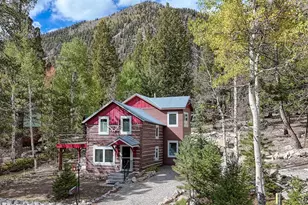 22680 Co Rd 292, Nathrop, CO 81236 - Photo 44