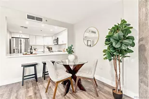 350 Detroit St, Denver, CO 80206 - Photo 8