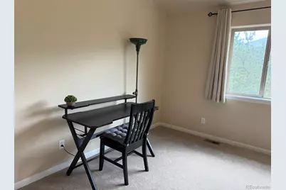 303 Virginia Road #E, Bailey, CO 80421 - Photo 18