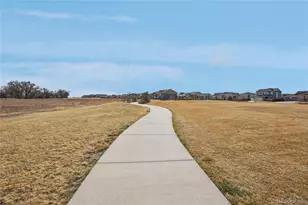 2998 Kestrel St, Brighton, CO 80601 - Photo 36