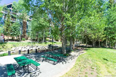 103 Cr 529, Breckenridge, CO 80424 - Photo 30