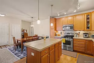 9359 Las Ramblas Ct, Parker, CO 80134 - Photo 10