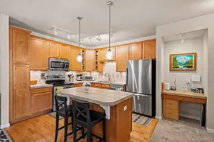 9359 Las Ramblas Ct, Parker, CO 80134 - Photo 8