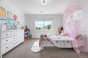 6635 Tremolite Dr, Castle Rock, CO 80108 - Photo 26