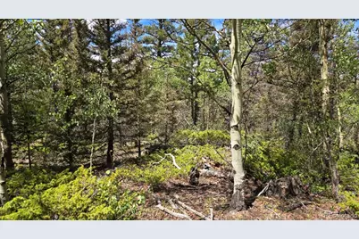 Lot 6804 Ryland Road, San Luis, CO 81152 - Photo 10
