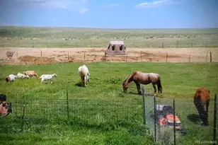 9151 Sun Country Dr, Elizabeth, CO 80107 - Photo 46