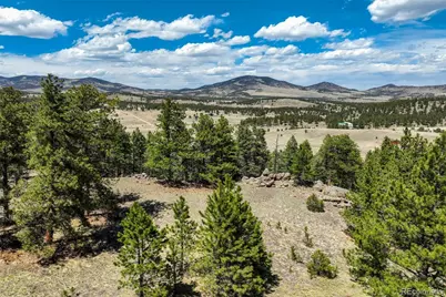 128 Nancy Ann Arroyo, Guffey, CO 80820 - Photo 32
