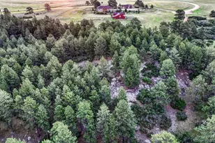 10345 Little Moon Trail, Elbert, CO 80106 - Photo 2