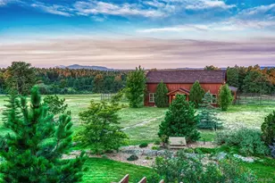 10345 Little Moon Trail, Elbert, CO 80106 - Photo 4