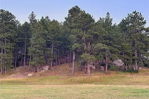 10345 Little Moon Trail, Elbert, CO 80106 - Photo 40