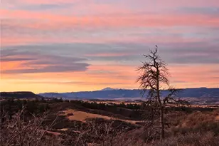 4 Flowerburst Way, Highlands Ranch, CO 80126 - Photo 48