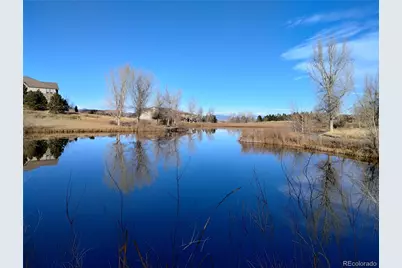 4 Flowerburst Way, Highlands Ranch, CO 80126 - Photo 42