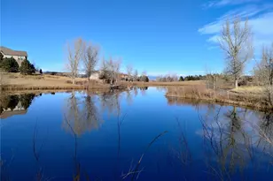 4 Flowerburst Way, Highlands Ranch, CO 80126 - Photo 42