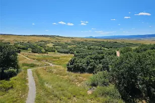 4 Flowerburst Way, Highlands Ranch, CO 80126 - Photo 40