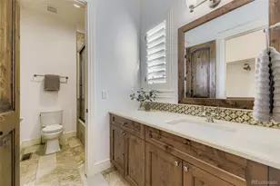 4 Flowerburst Way, Highlands Ranch, CO 80126 - Photo 18