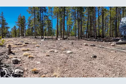 1335 Sequoia Drive, Leadville, CO 80461 - Photo 8