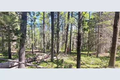 Lot 2914 Forbes Loop, Fort Garland, CO 81133 - Photo 1