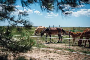 21525 Elk Meadows Cir, Elbert, CO 80106 - Photo 46