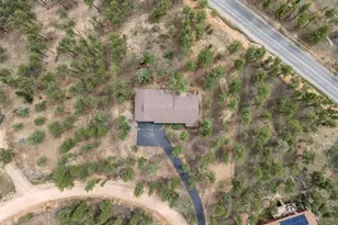 84 Marys Ln, Bailey, CO 80421 - Photo 32