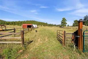 28886 Cragmont Dr, Evergreen, CO 80439 - Photo 24