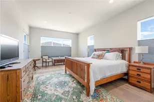 708 Alumroot St, Castle Rock, CO 80104 - Photo 16