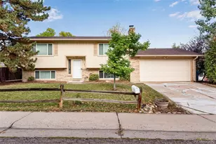 7191 S Webster St, Littleton, CO 80128 - Photo 4