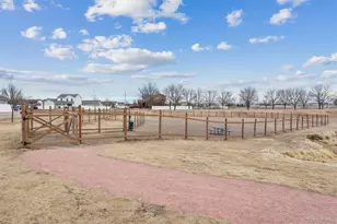 6835 Lee St, Wellington, CO 80549 - Photo 20