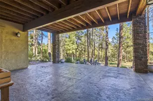 1109 Tenderfoot Dr, Larkspur, CO 80118 - Photo 36