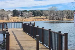 8299 Lakeview Dr, Parker, CO 80134 - Photo 36