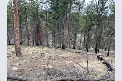 Lot 513 Leslie Loop, Fort Garland, CO 81133 - Photo 12