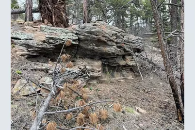 Lot 513 Leslie Loop, Fort Garland, CO 81133 - Photo 14