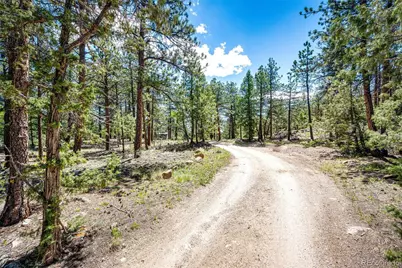 S Wandcrest Drive, Pine, CO 80470 - Photo 4