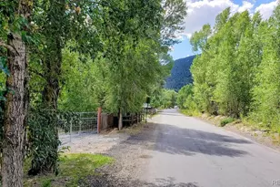 1418 Rose St, Georgetown, CO 80444 - Photo 36