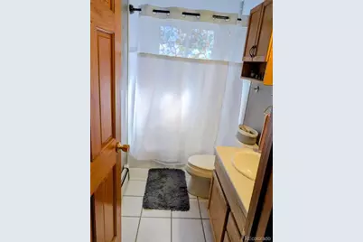 1418 Rose Street, Georgetown, CO 80444 - Photo 34