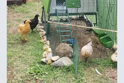 1418 Rose Street, Georgetown, CO 80444 - Photo 18