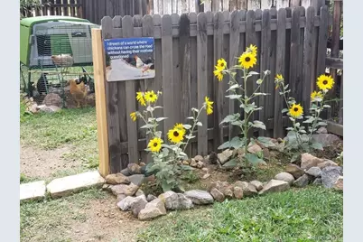 1418 Rose Street, Georgetown, CO 80444 - Photo 20