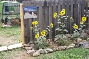 1418 Rose St, Georgetown, CO 80444 - Photo 20