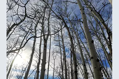 503 Sugar Loaf Lane, Jefferson, CO 80456 - Photo 6