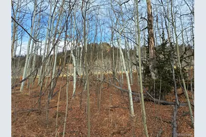 503 Sugar Loaf Lane, Jefferson, CO 80456 - Photo 1