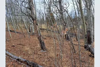 503 Sugar Loaf Lane, Jefferson, CO 80456 - Photo 2