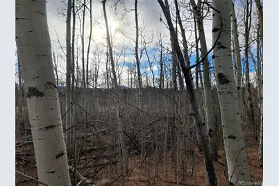 503 Sugar Loaf Lane, Jefferson, CO 80456 - Photo 8