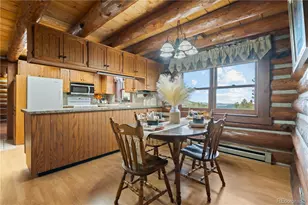 29611 Marys Dr, Conifer, CO 80433 - Photo 18