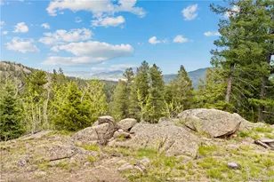 29611 Marys Dr, Conifer, CO 80433 - Photo 40