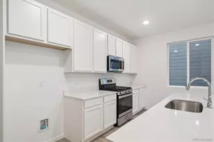 916 Steppe Ln, Windsor, CO 80550 - Photo 6