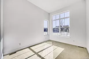 684 Leafy Aster Ln, Castle Rock, CO 80104 - Photo 12