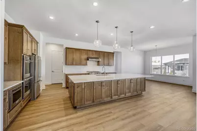 684 Leafy Aster Lane, Castle Rock, CO 80104 - Photo 4