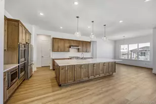 684 Leafy Aster Ln, Castle Rock, CO 80104 - Photo 4