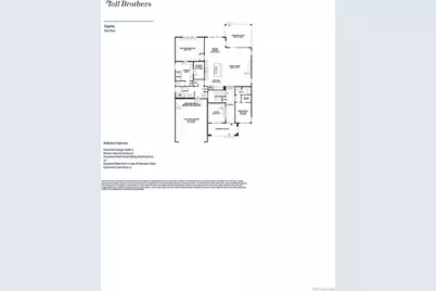684 Leafy Aster Lane, Castle Rock, CO 80104 - Photo 16