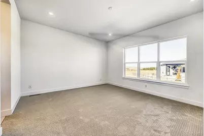 684 Leafy Aster Lane, Castle Rock, CO 80104 - Photo 8